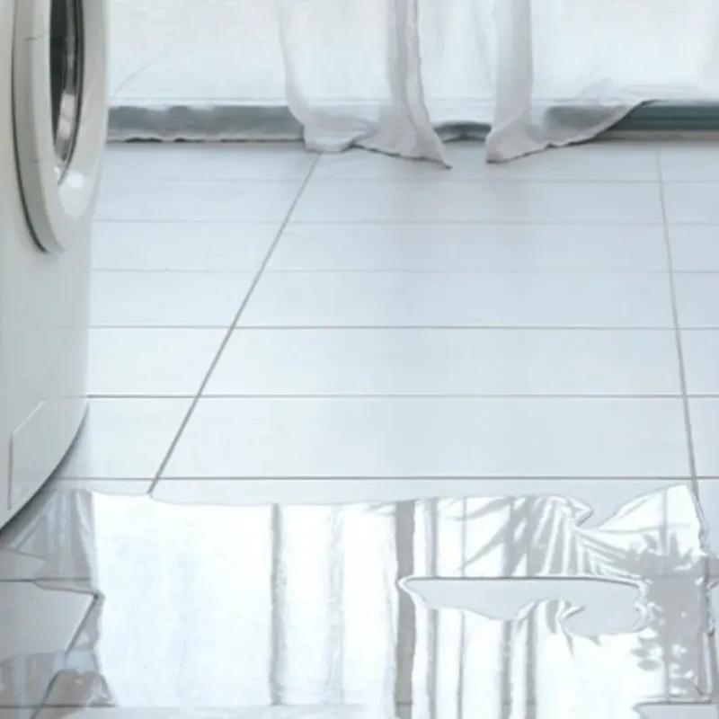 Appliance Leak Cleanup in Hanover, NH