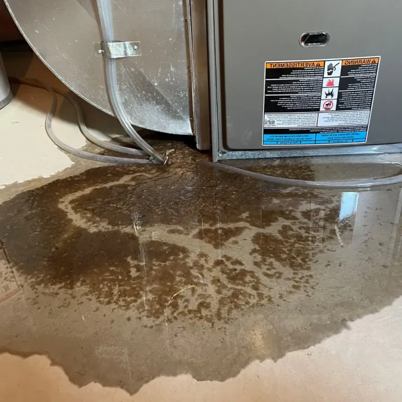 Pipe Burst and Leak Restoration in Hanover, NH